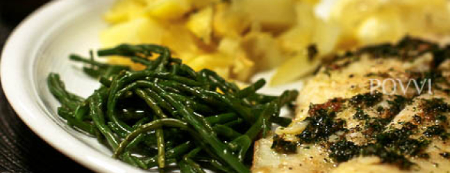 Noordzeetong met zeekraal IMG 0767 1