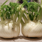 Venkelsoep met steranijs IMG 18751