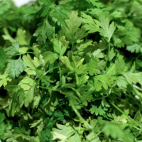 Kervelsoep IMG 21511