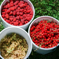 Mamkine vianočné bowle IMG 73041