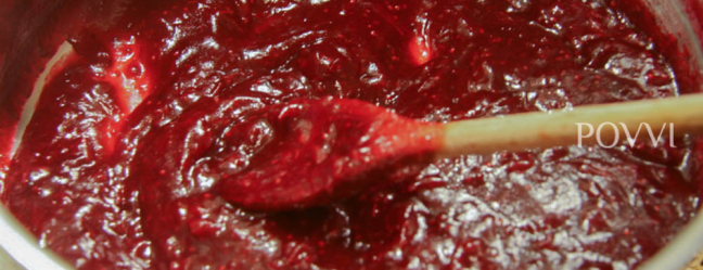 Cranberry pyré IMG 8889 22