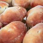 Honingbroodjes ® IMG 9014