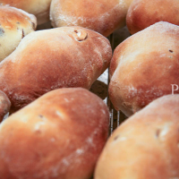 Honingbroodjes ® IMG 9014