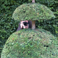 Versailles 2011 IMG 06731