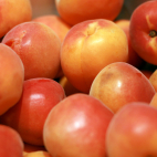 Abrikozenconfituur IMG 7106