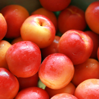 Franse abrikozenjam, Francúzsky marhuľový džem IMG 7300