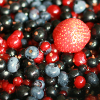 Aalbessenconfituur, Lekvár z drobného ovocia IMG 7764