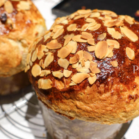 Milanese Panettone DSC06604