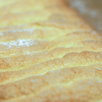 Lepelbiscuit IMG 09621