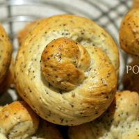 Maanzaadknoppen IMG 1291 0011