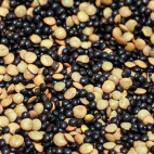 Lentil soup without roux IMG 25851