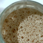 Wheat sourdough IMG 30353
