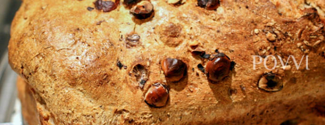 Hazelnootbrood IMG 31491