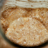 Roggezuurdesem IMG 34761