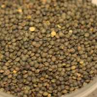 Linzen zuurdesem, Šošovicový kvások, Lentil sourdough IMG 5411