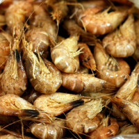 Garnalenbouillon, Bujón z krevetiek, Shrimp broth IMG 5214