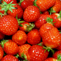 Aardbeienconfituur, Jahodový lekvár, Strawberry jam IMG 7728