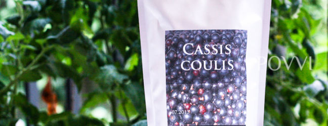 Cassiscoulis IMG 1401