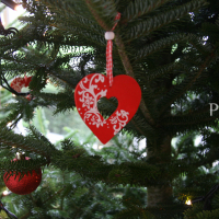 Winter Moments – Profesionaal IMG 5628