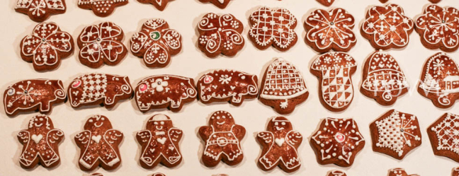 Geef nooit op ! IMG 62702