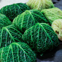 Plnené kelové listy IMG 87241