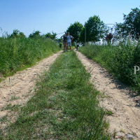 Uitnodiging voor de Glutenvrije bedevaart IMG 6926