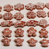 Nikdy sa nevzdaj ! IMG 6269