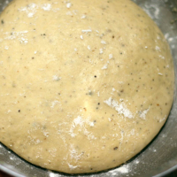 Fins melkdeeg IMG 4233