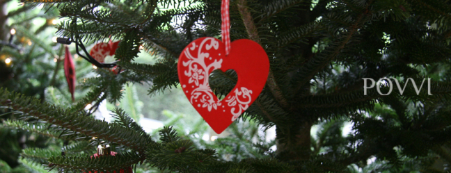 Winter moments – Professionals IMG 5628