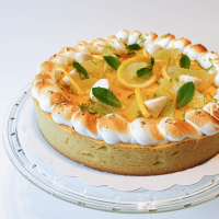 Mojito – Citrónová torta DSC00719