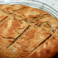 Duits brood IMG 3786