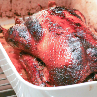 Christmas duck IMG 7198