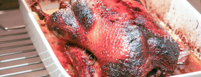 Pečená kačica IMG 7198