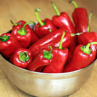 Paprika pesto IMG 7332