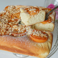 Apricot bar DSC04986