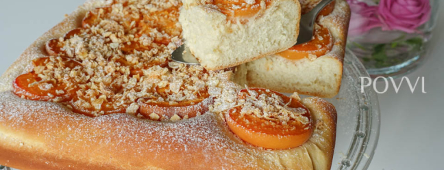 Abrikozenblokje DSC04986