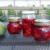 Mango & Cherry compote DSC05403