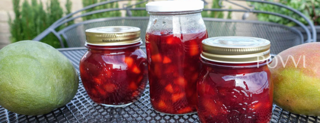 Mango & Cherry compote DSC05403