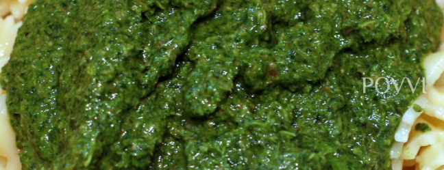 Green Salsa IMG 8072