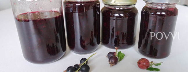 Zomer Quartet ® DSC05657