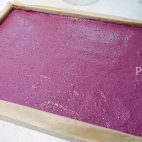 Black currant Joconda ® DSC06774