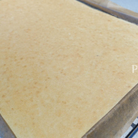 Mandľová Joconda DSC07397