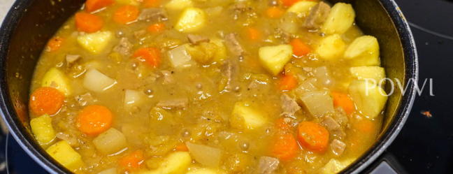 Pork ragout with apples DSC08346