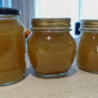 Sterilised fish stock DSC09074 2