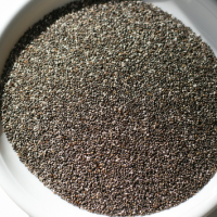 Semeno šalvie IMG 3413