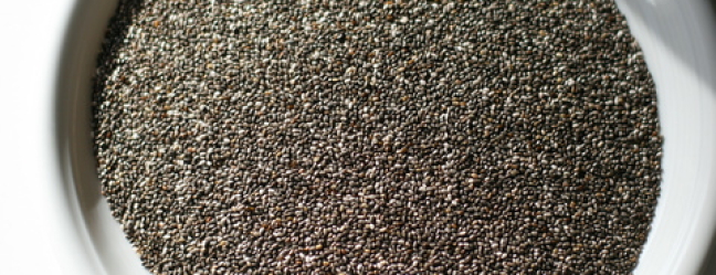 Semeno šalvie IMG 3413