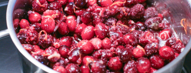 Malinovo – brusnicová omáčka IMG 7219