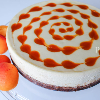 Apricot cheesecake DSC00460