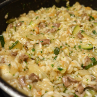 Risotto met venkel en courgette DSC00699