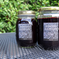 Bosbessen coulis DSC01589